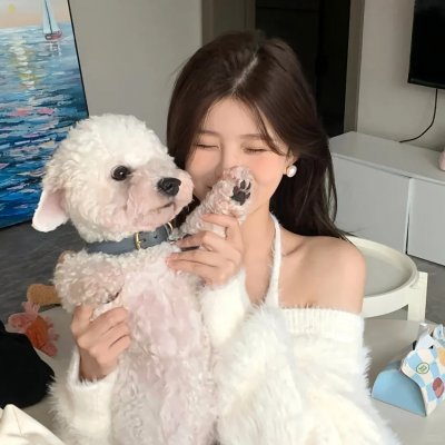 龙仁约定 海报